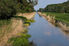 Einserkanal