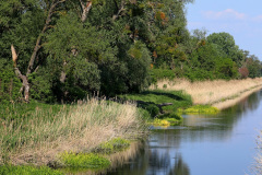 Einserkanal